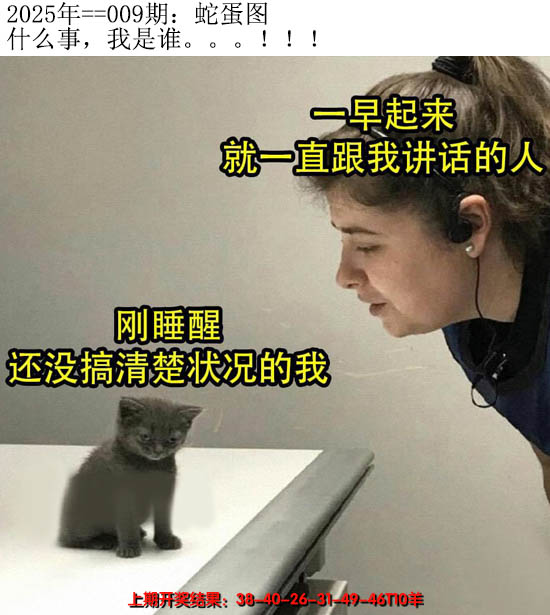 2025009期另版蛇蛋图