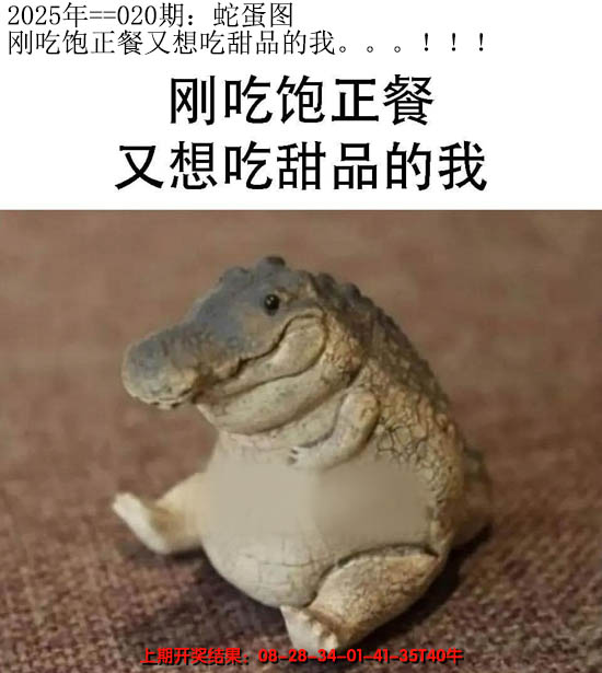 2025020期另版蛇蛋图