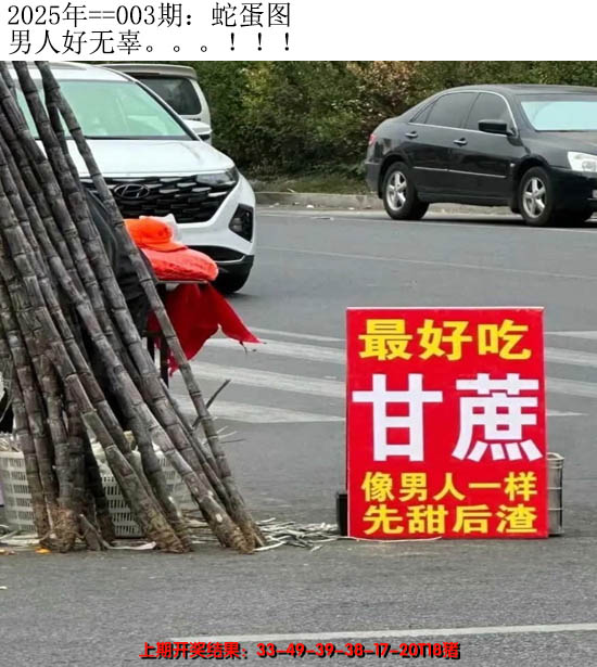 2025003期另版蛇蛋图