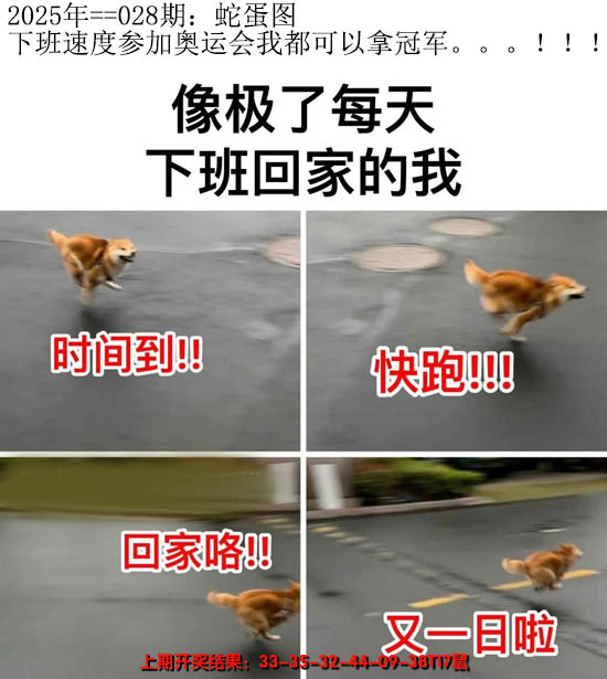 2025028期另版蛇蛋图