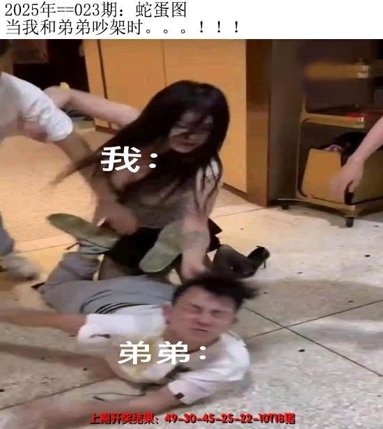 2025023期另版蛇蛋图