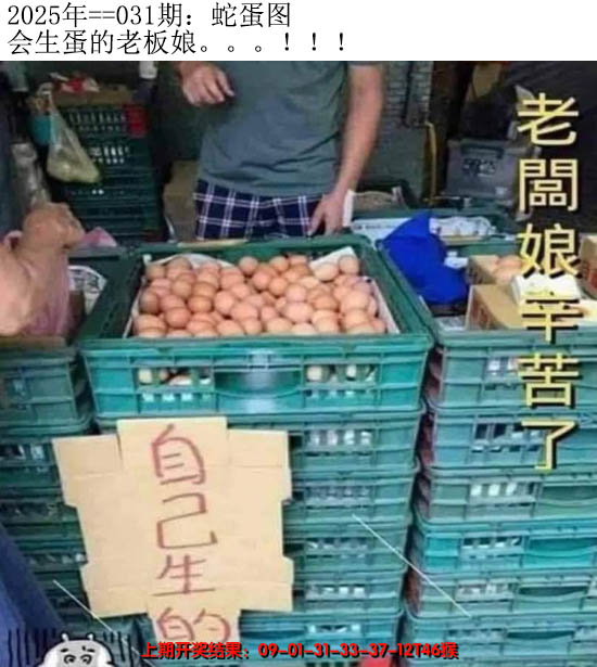 2025031期另版蛇蛋图