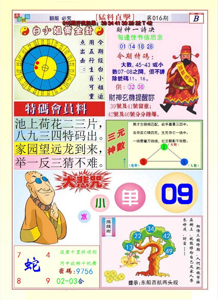 2025016期猛料直击B