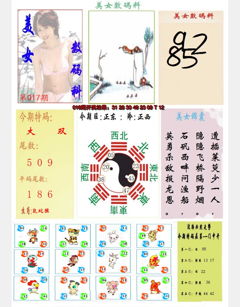 2025017期美女数码料