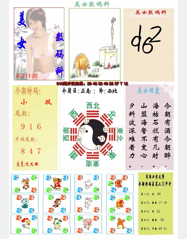 2025011期美女数码料