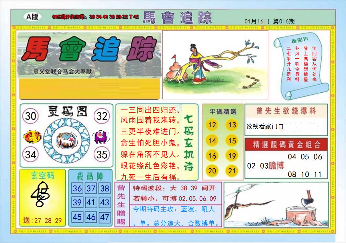 2025016期马会追踪A