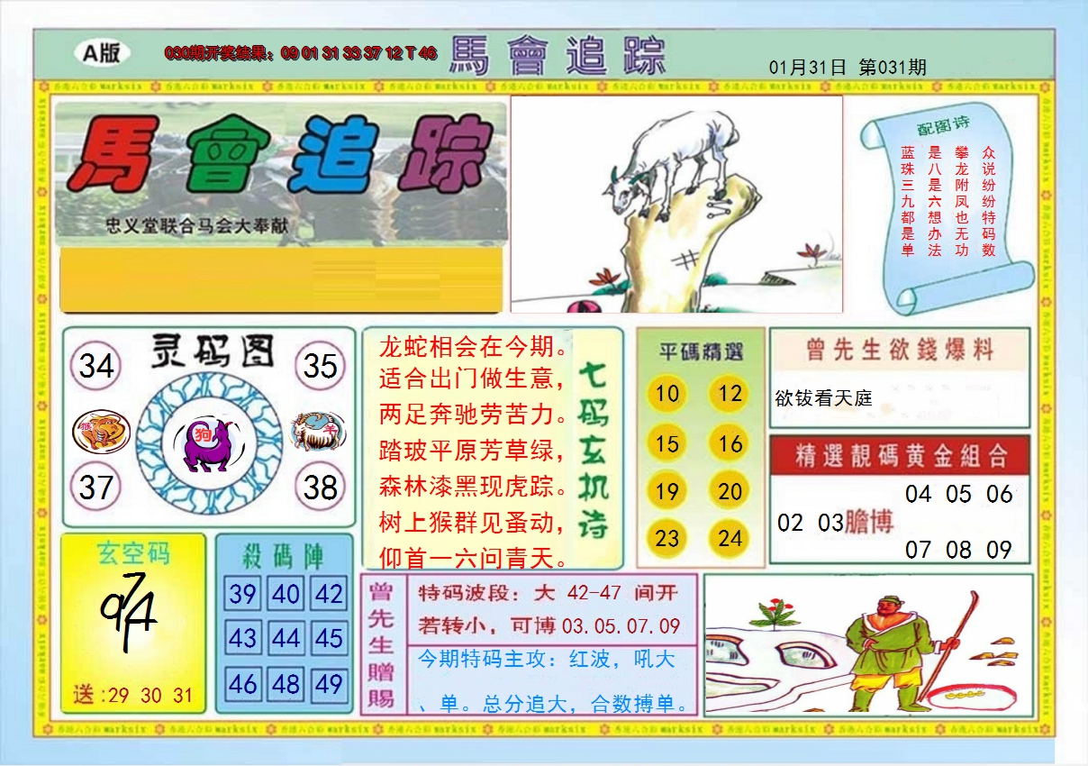 2025031期马会追踪A