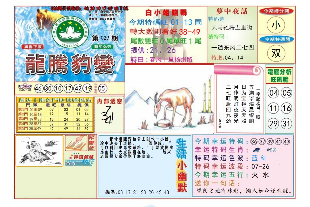 2025029期龙腾豹变