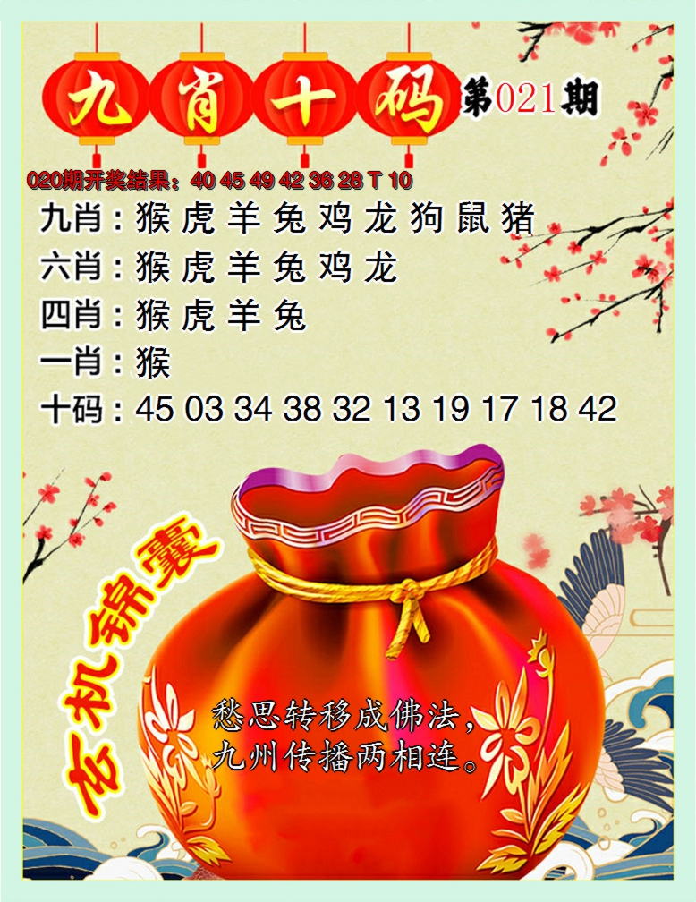 2025021期九肖十码