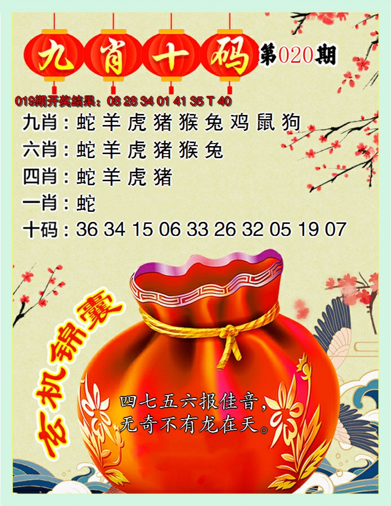 2025020期九肖十码