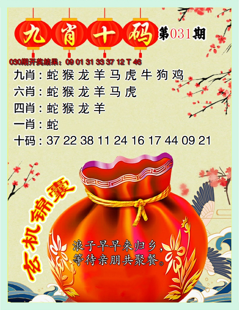 2025031期九肖十码