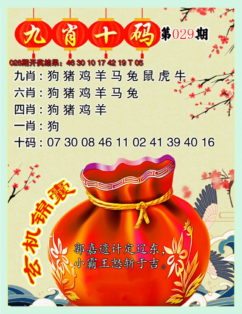 2025029期九肖十码