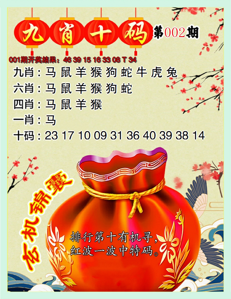 2025002期九肖十码