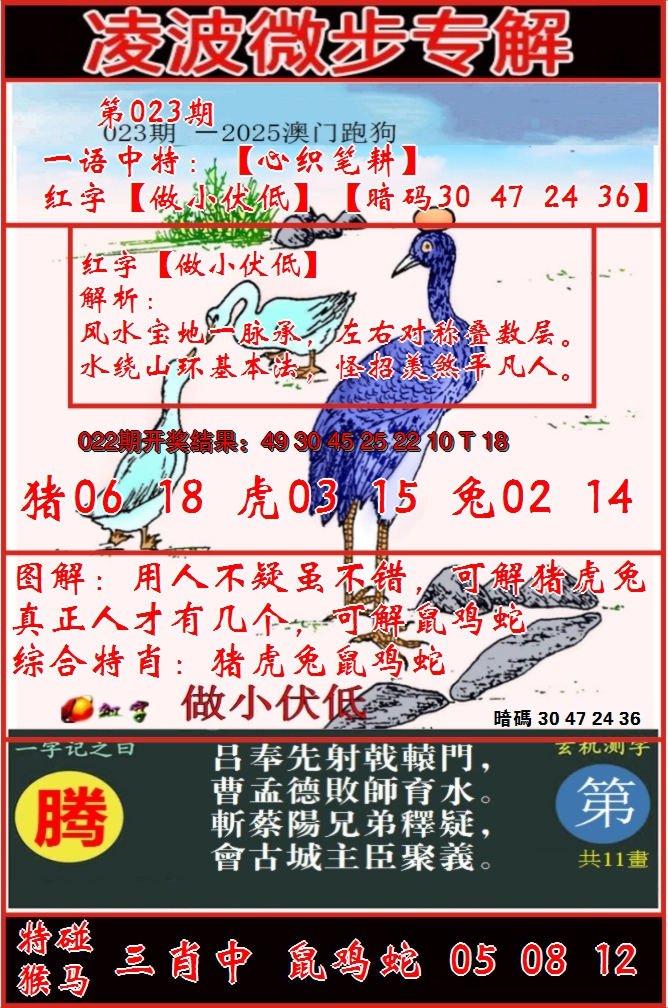 2025023期凌波微步
