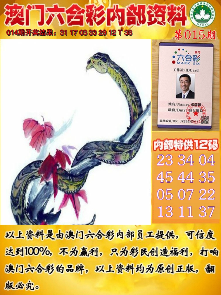 2025015期六合内部资料