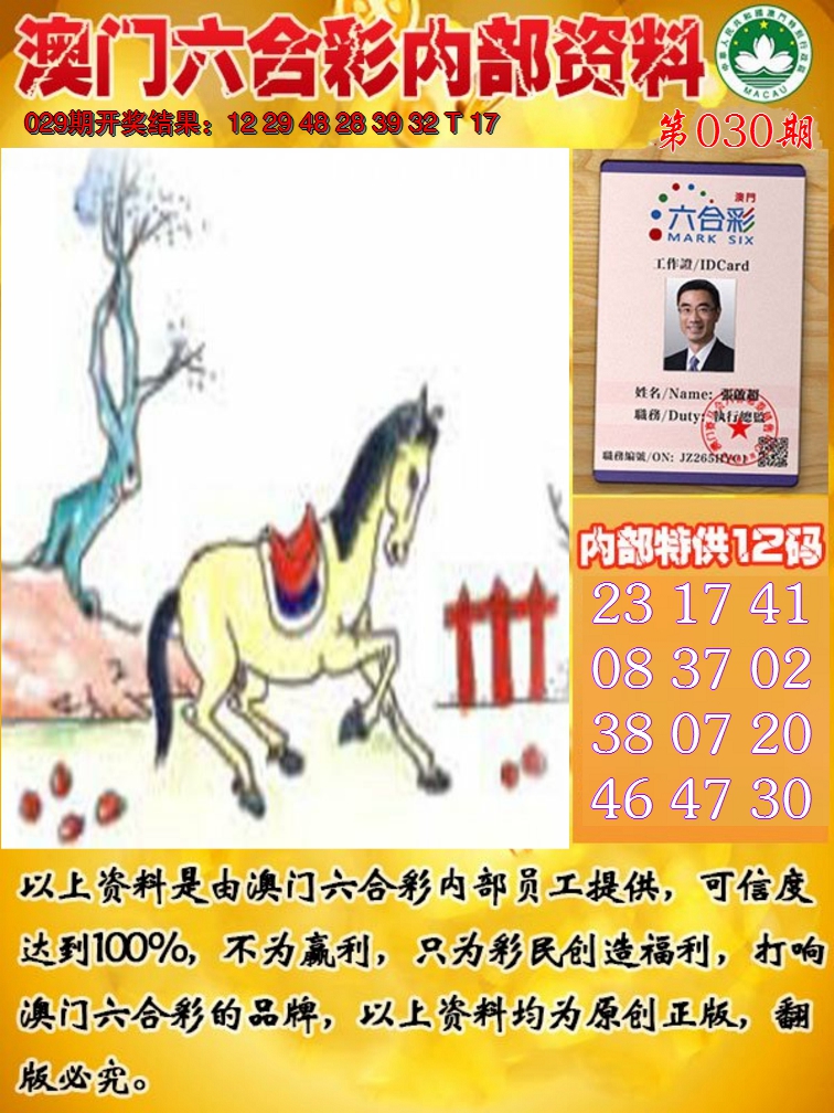 2025030期六合内部资料