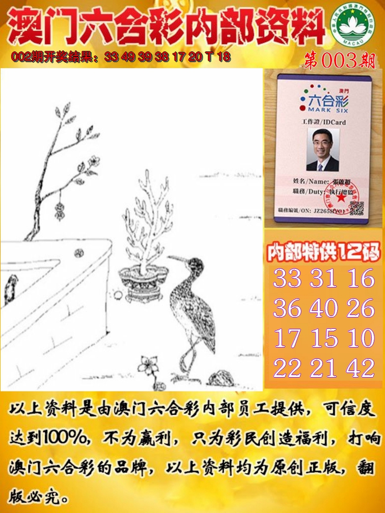 2025003期六合内部资料