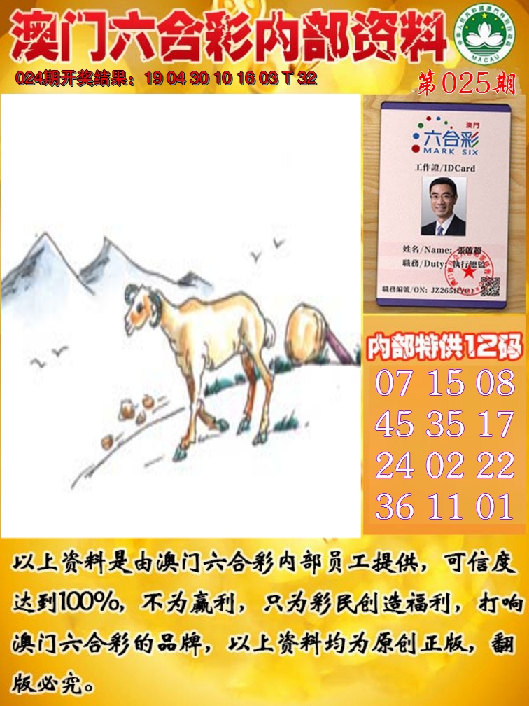 2025025期六合内部资料