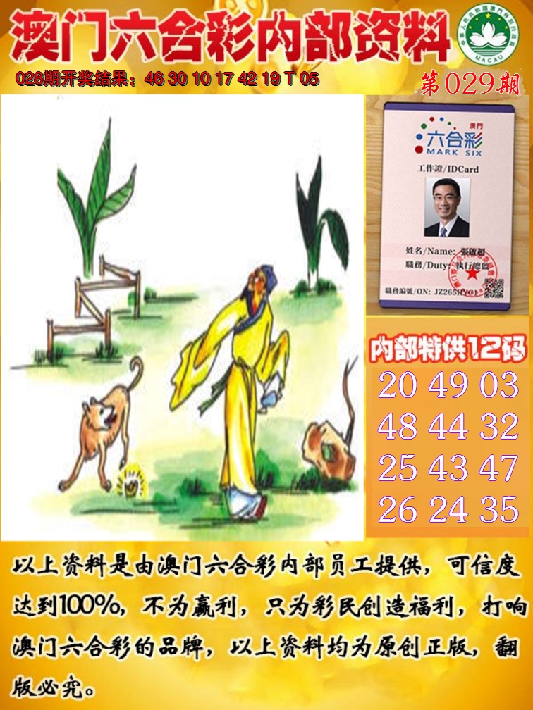2025029期六合内部资料