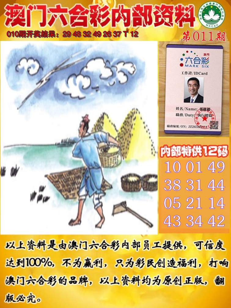 2025011期六合内部资料