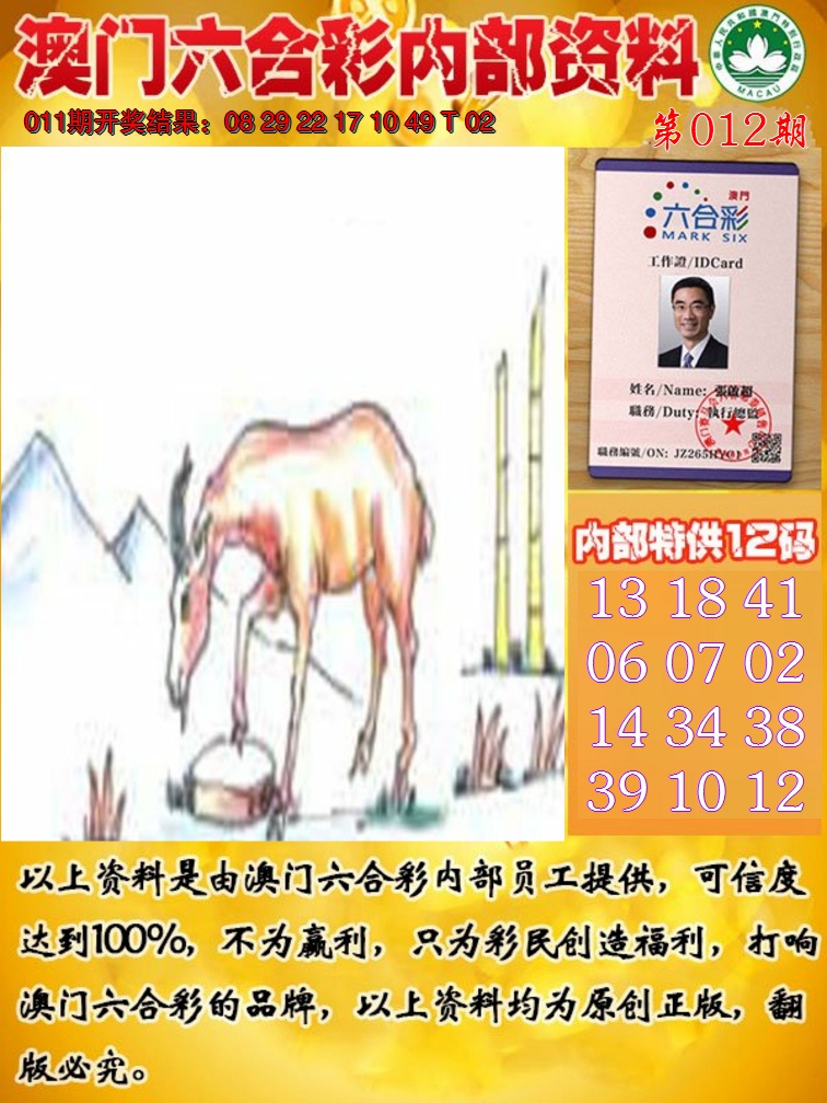 2025012期六合内部资料