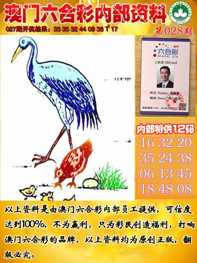 2025028期六合内部资料