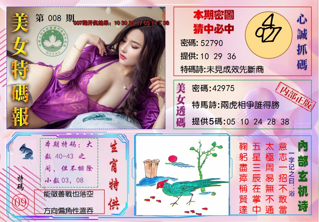 2025008期美女特码报