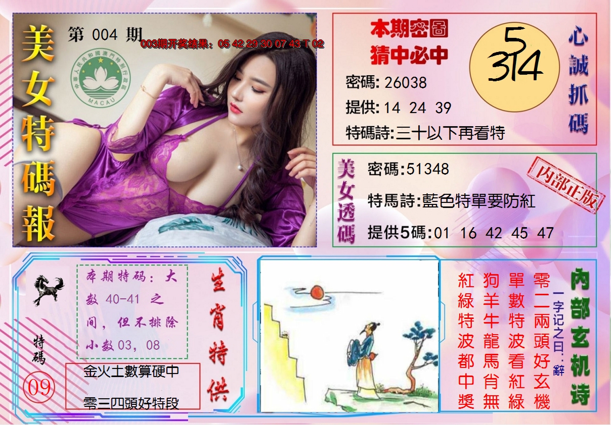 2025004期美女特码报
