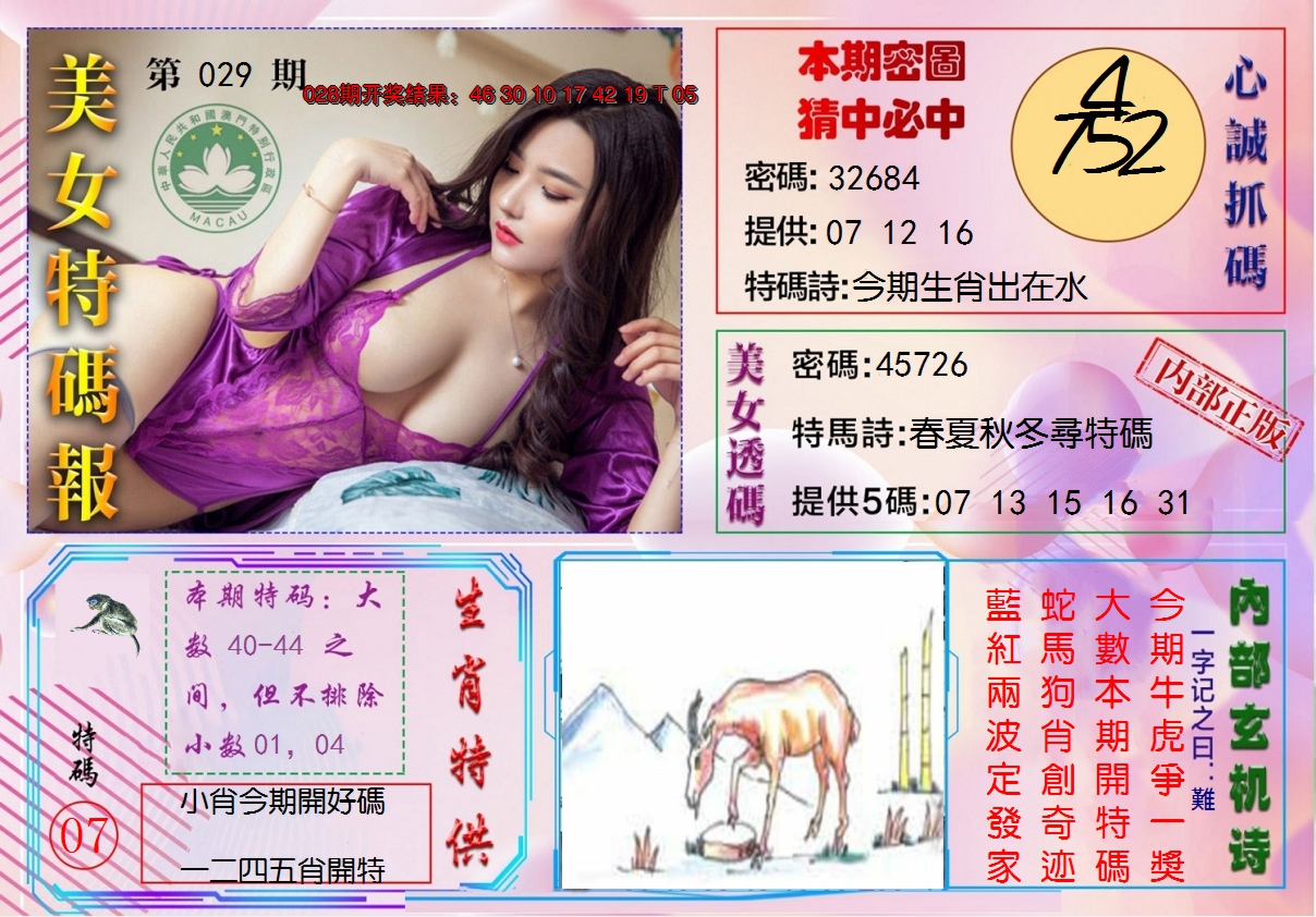 2025029期美女特码报