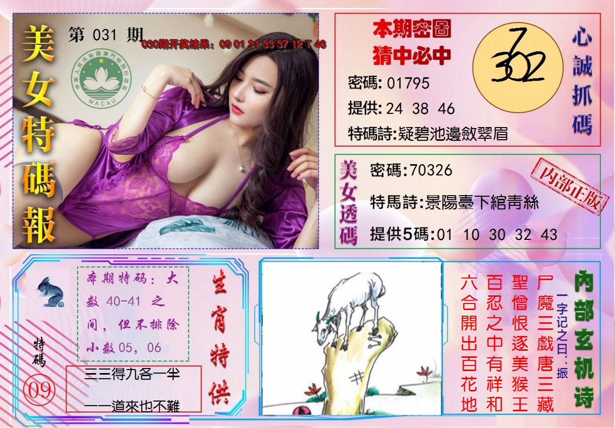 2025031期美女特码报