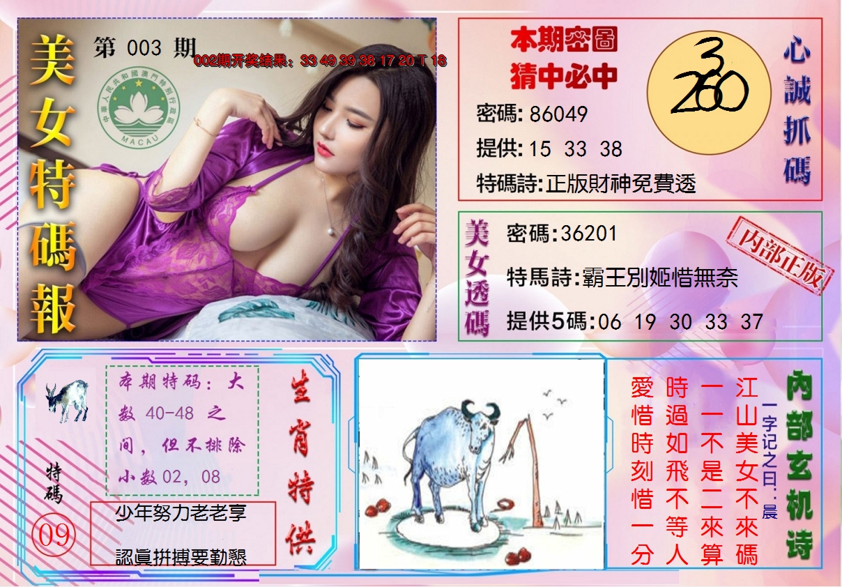 2025003期美女特码报