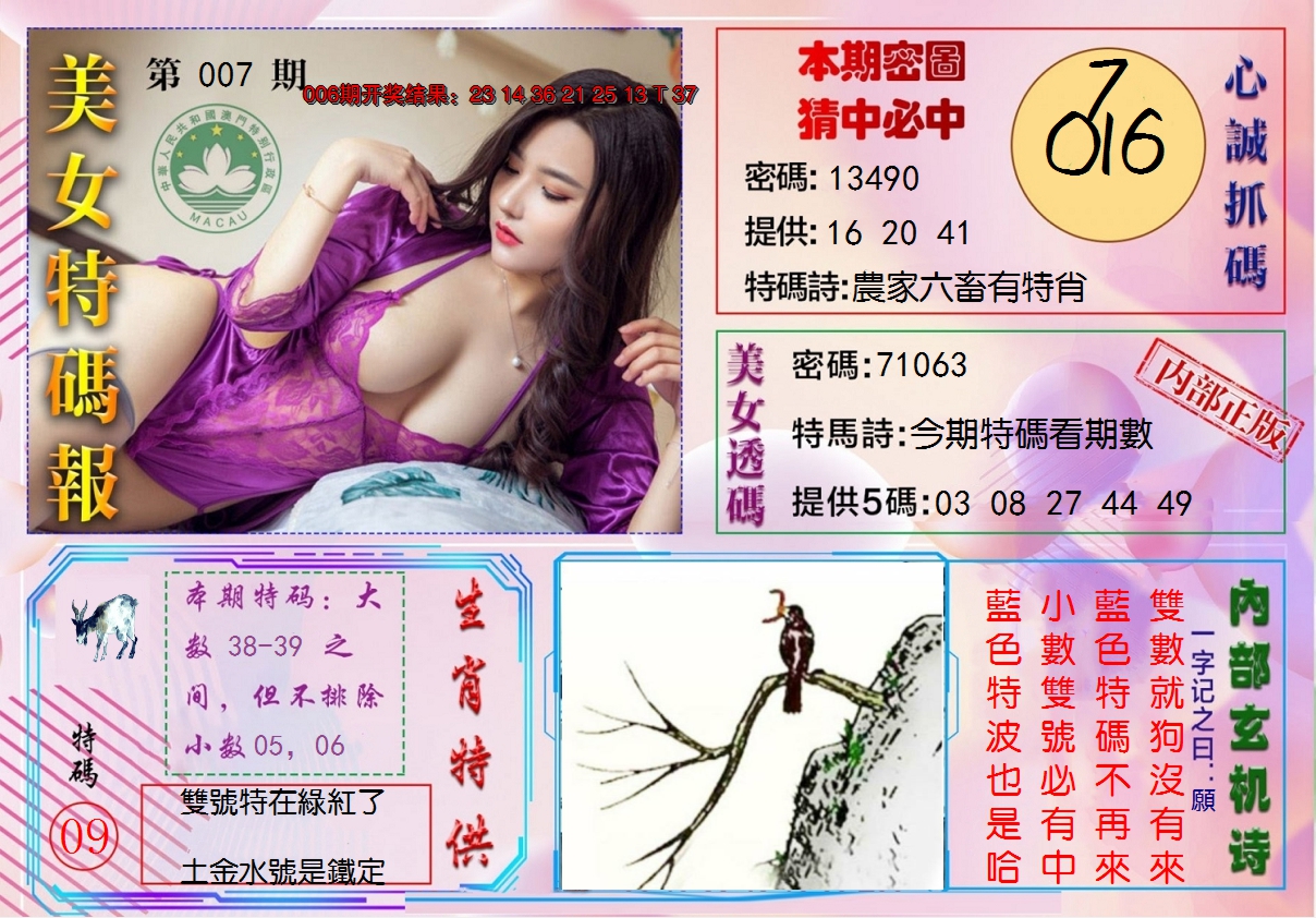 2025007期美女特码报