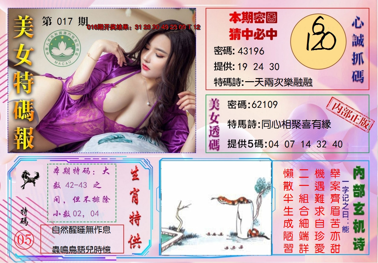 2025017期美女特码报