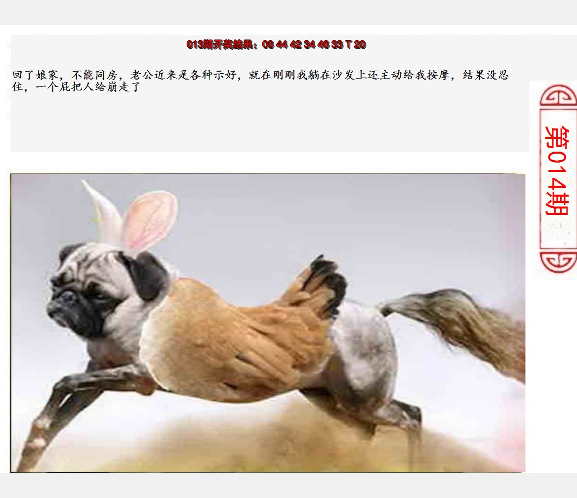 2025014期澳门生活幽默