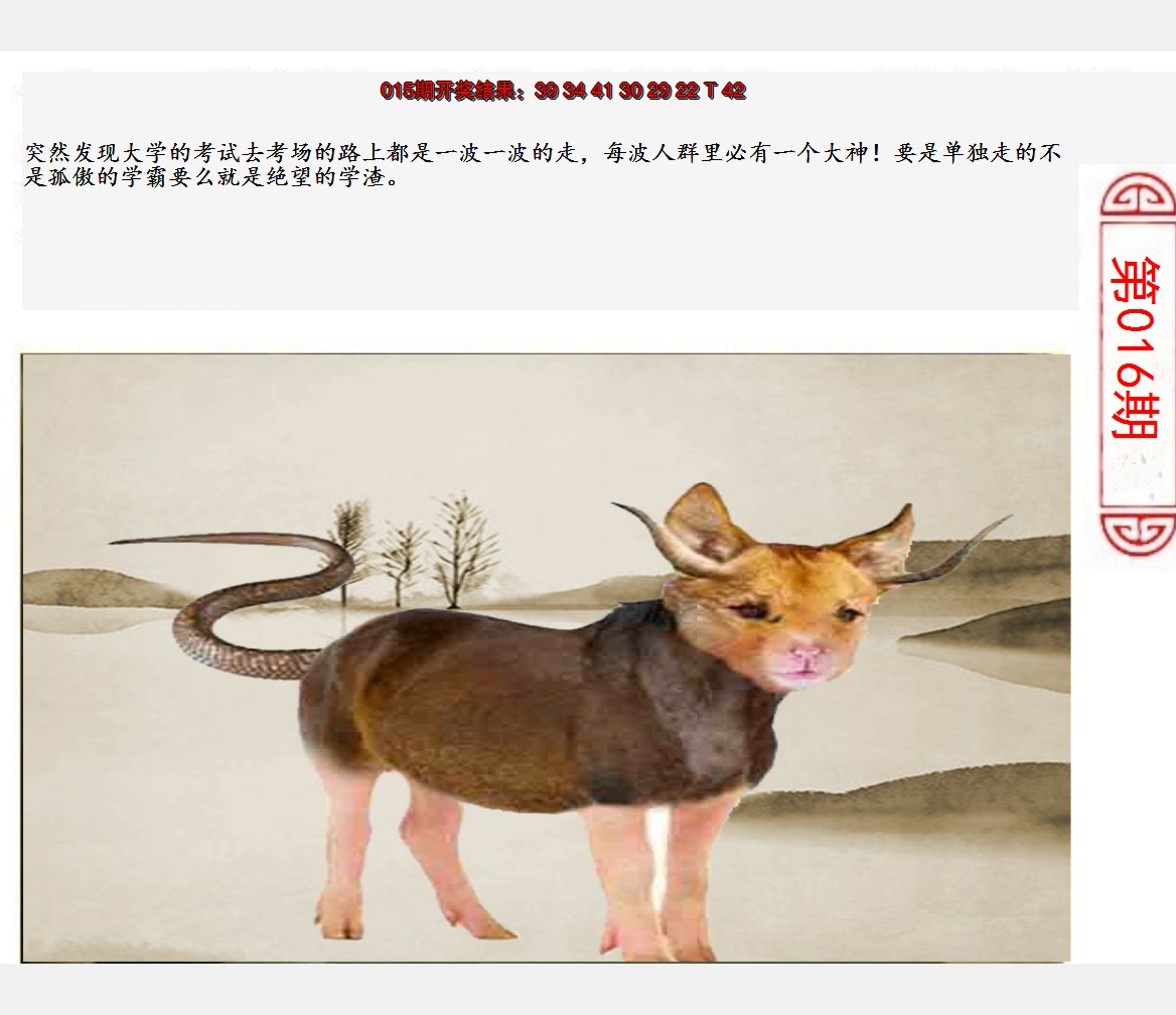 2025016期澳门生活幽默