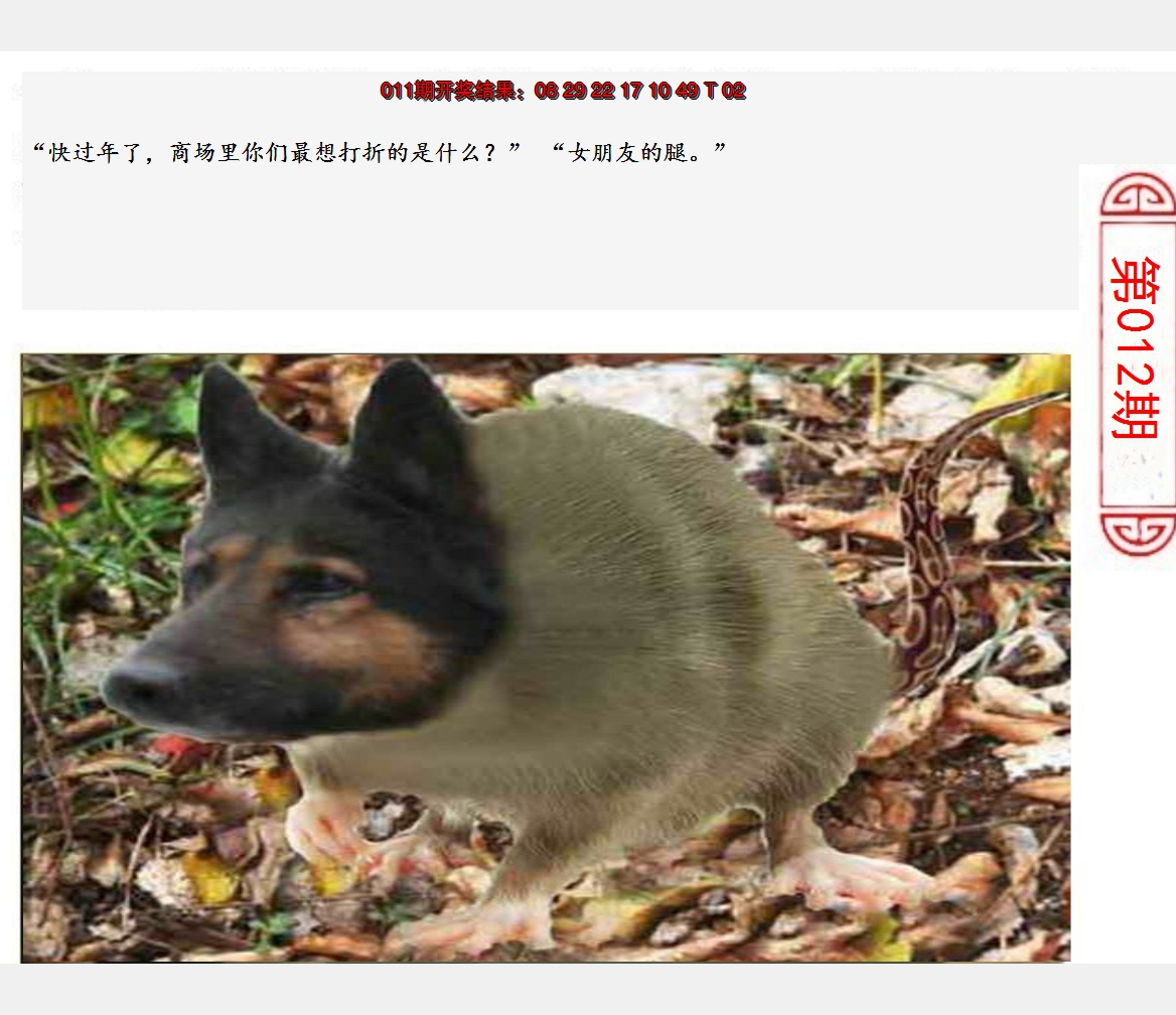 2025012期澳门生活幽默