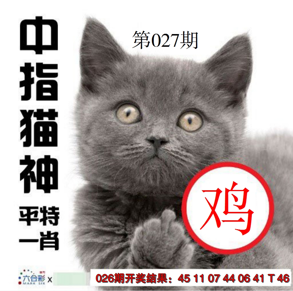 2025027期中指猫神