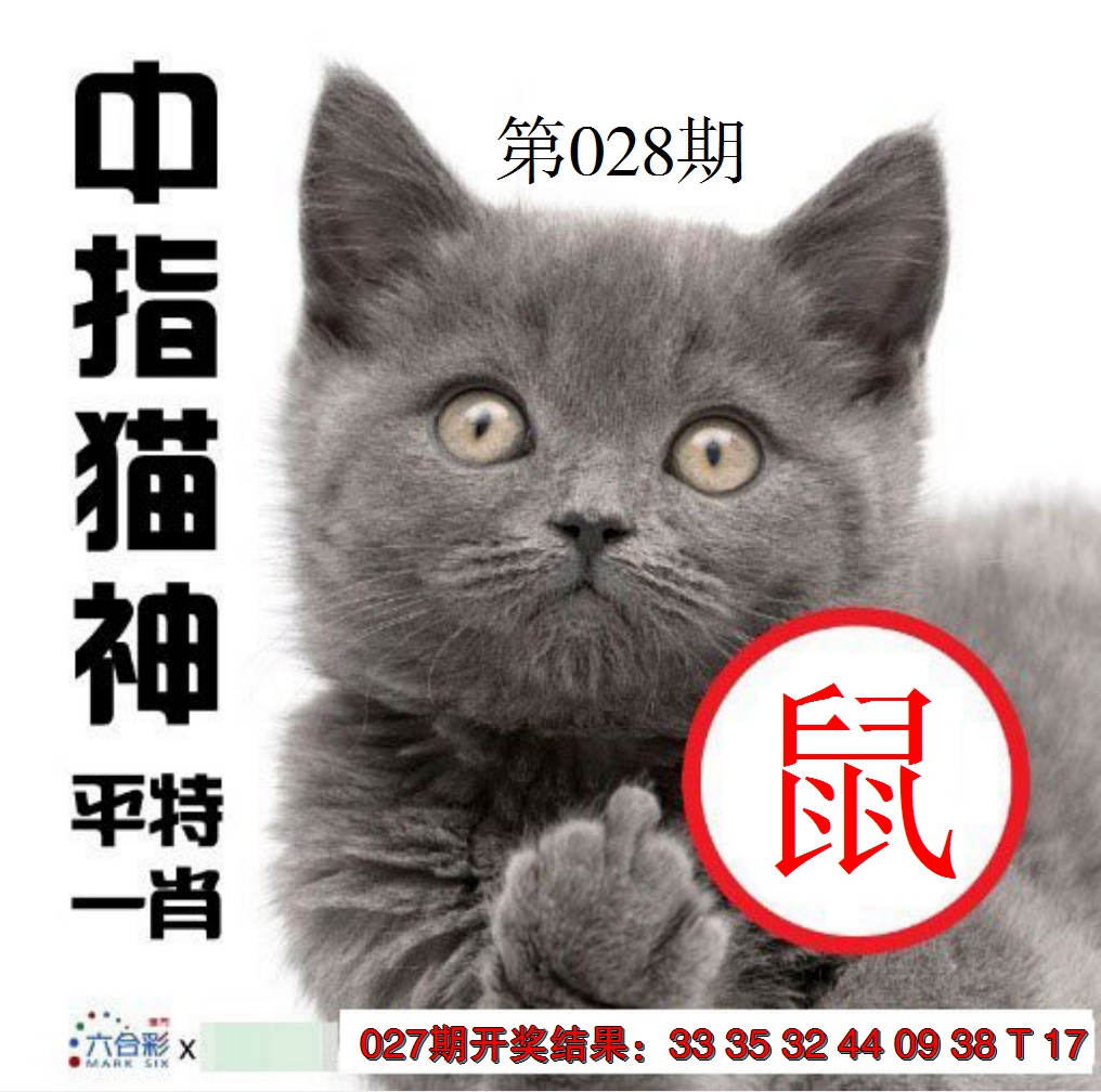 2025028期中指猫神