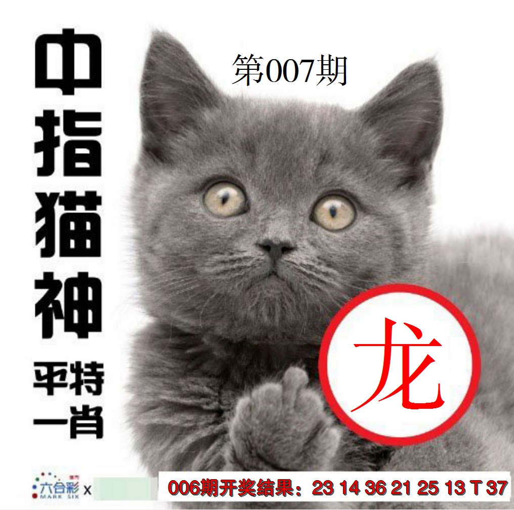 2025007期中指猫神