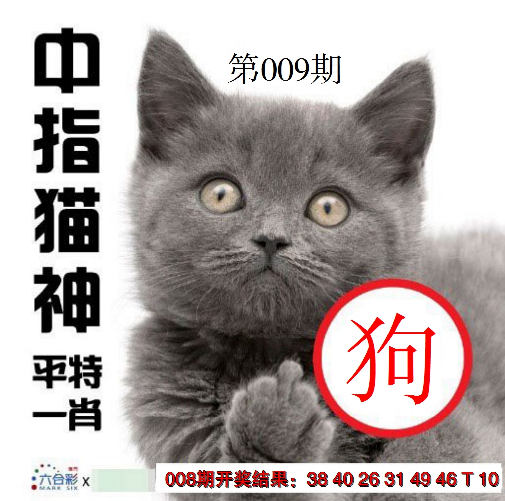 2025009期中指猫神