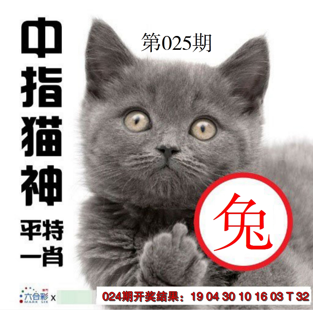 2025025期中指猫神