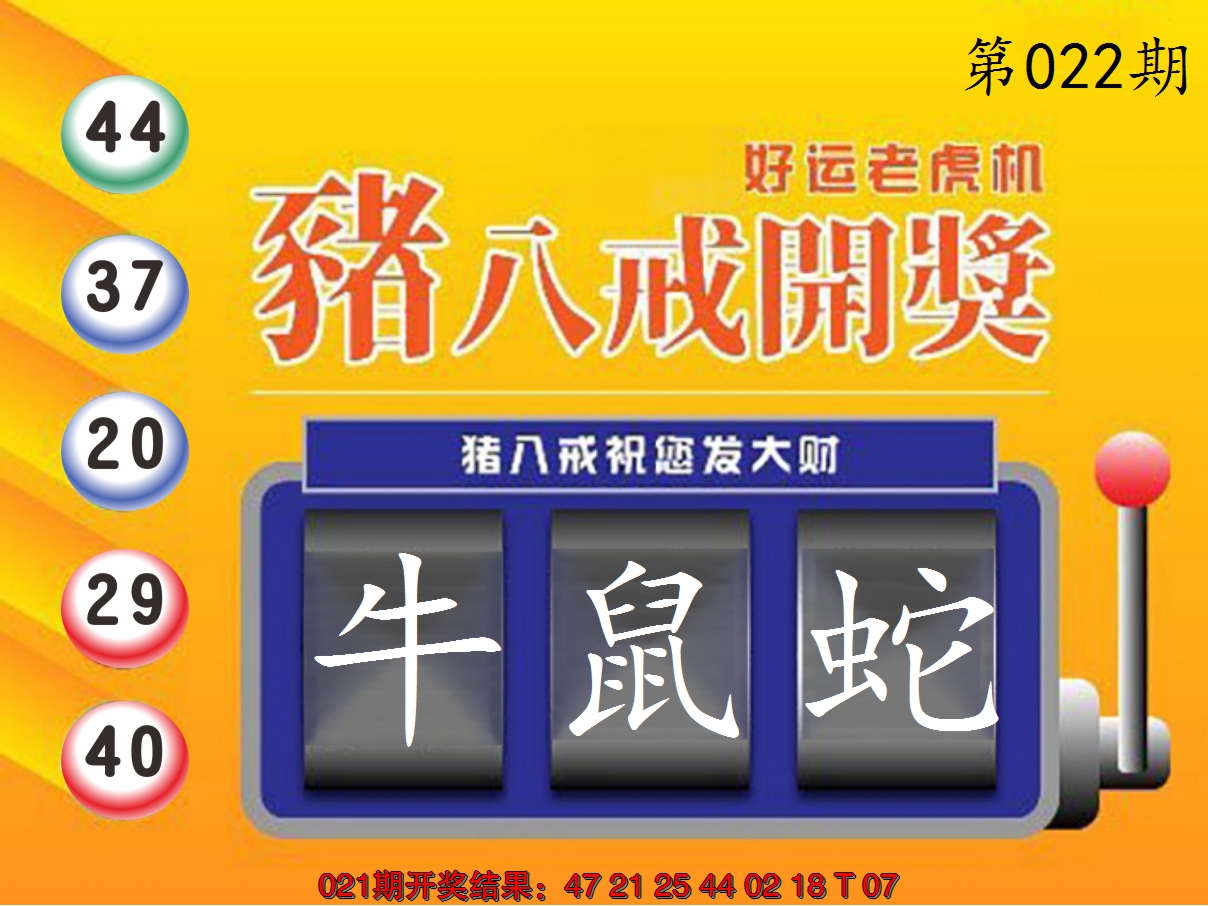 2025022期猪八戒开奖A