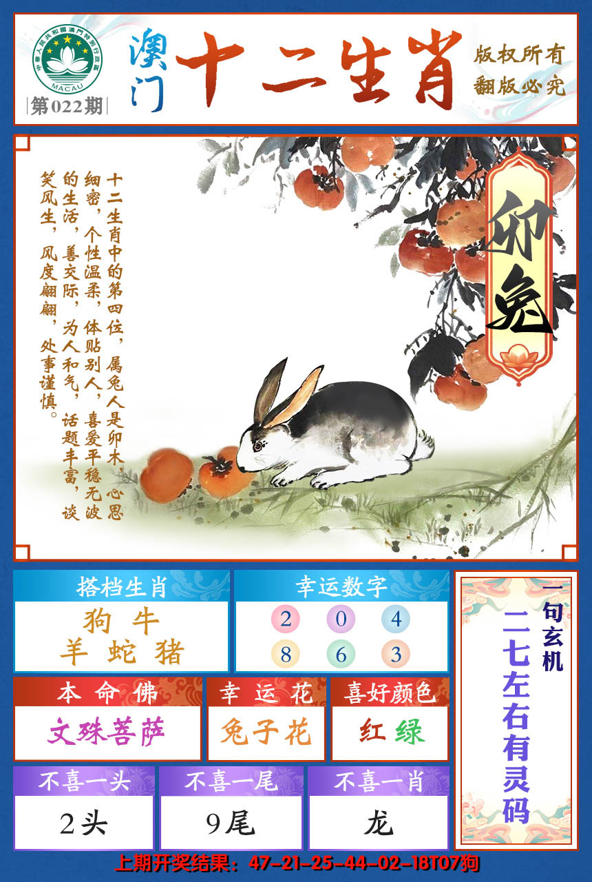 2025022期十二生肖
