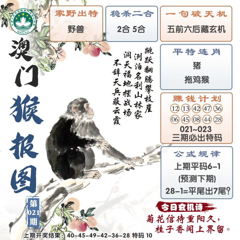 2025021期澳门猴报图