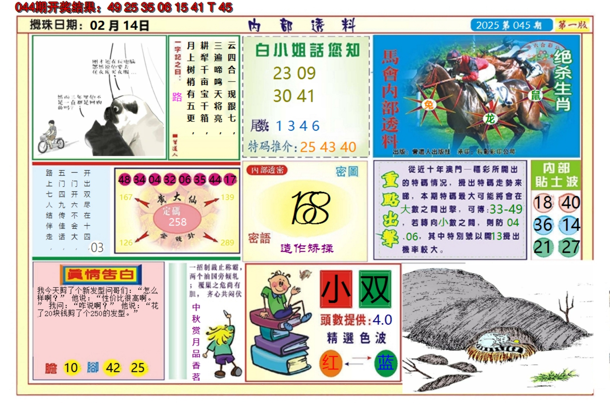 2025045期澳门内部透料A