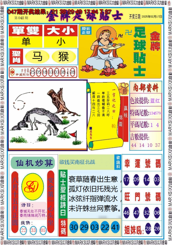 2025048期金牌足球贴士