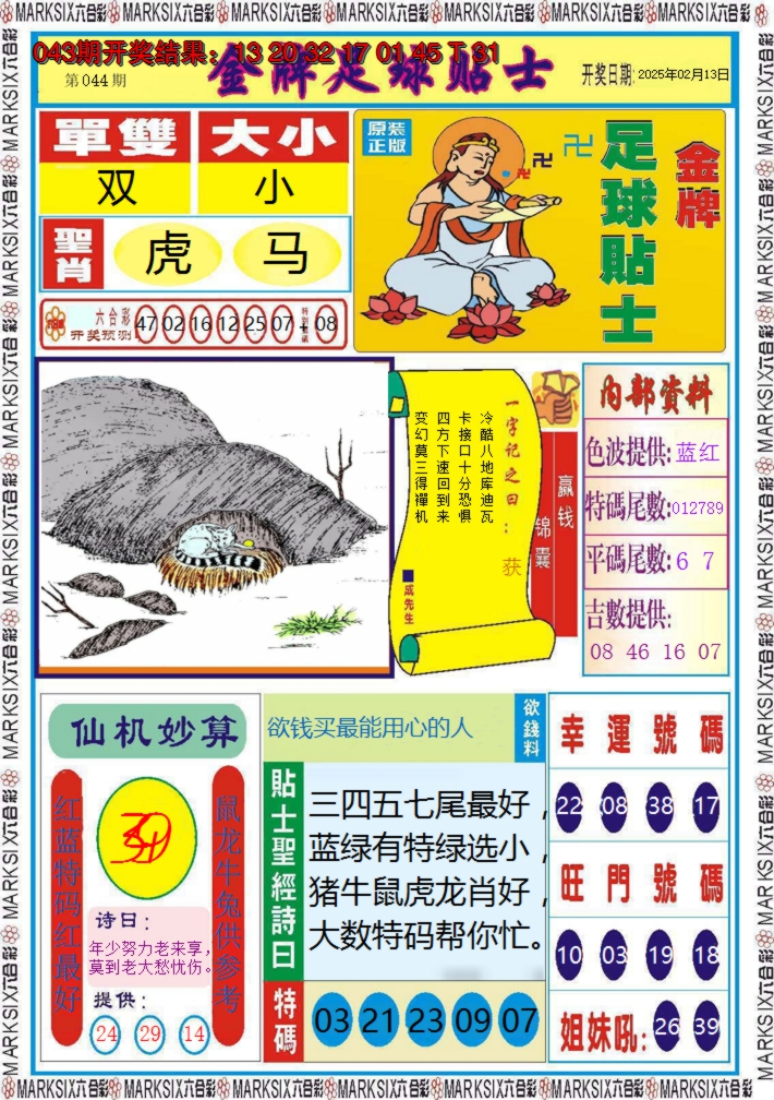2025044期金牌足球贴士