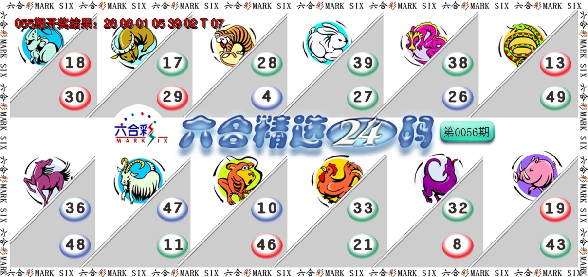 2025056期六合精选24码