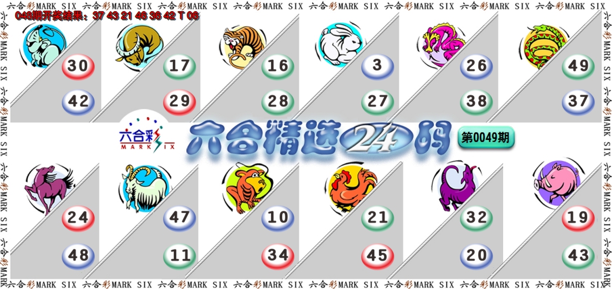 2025049期六合精选24码