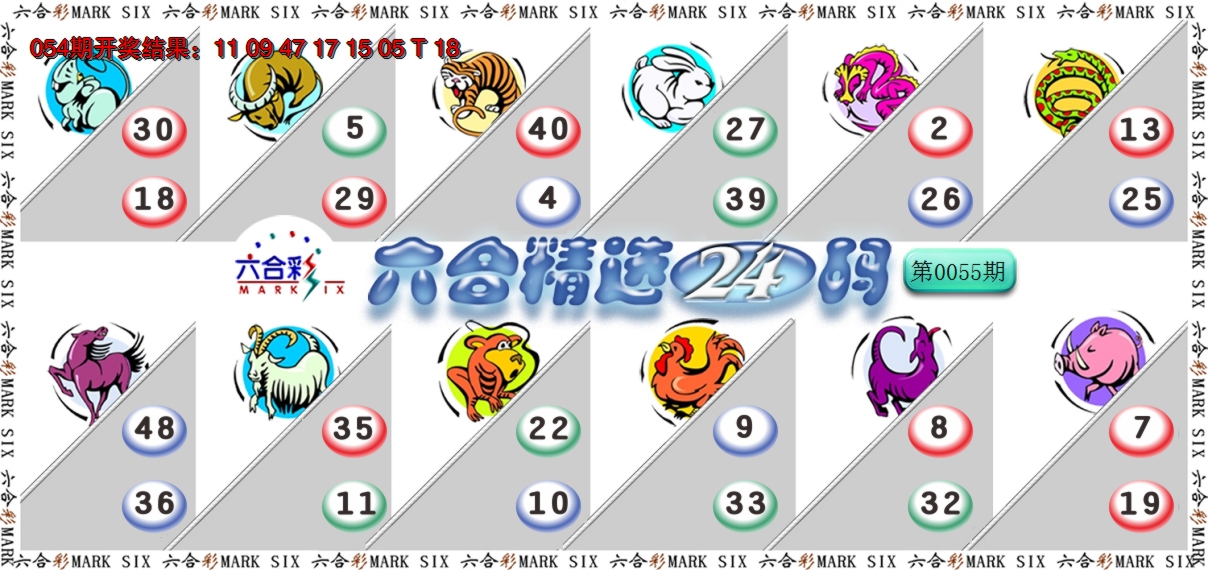 2025055期六合精选24码
